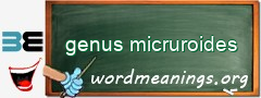 WordMeaning blackboard for genus micruroides